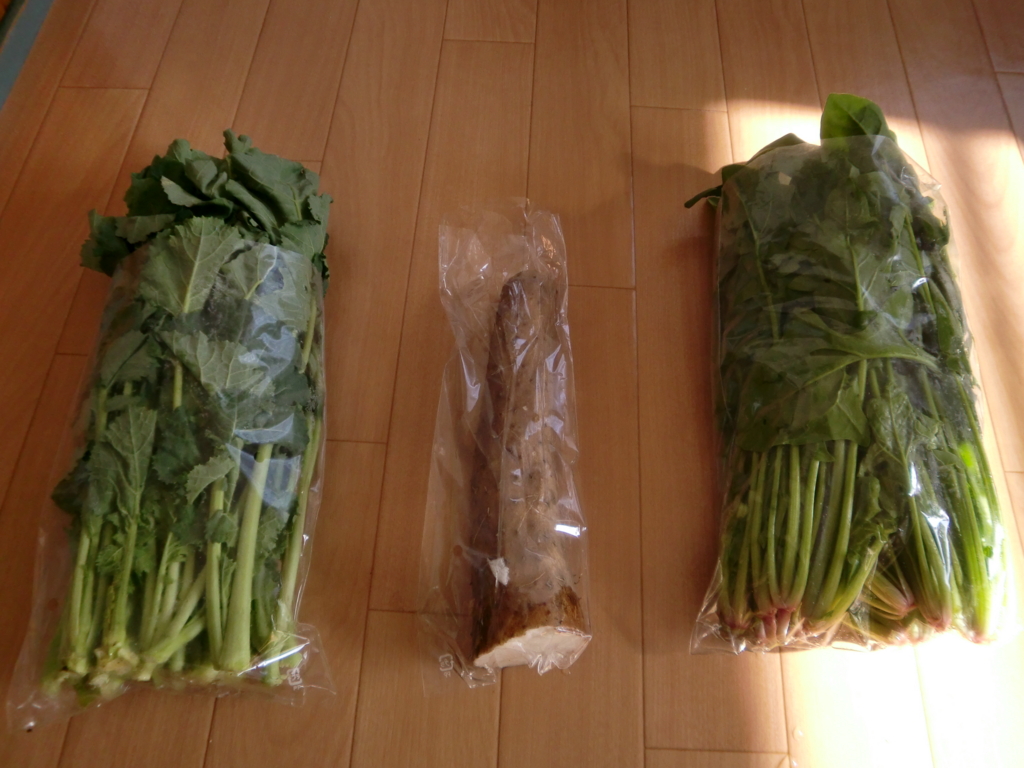 f:id:nadeemsan:20161211113448j:plain f:id:nadeemsan:20161211113448j:plain