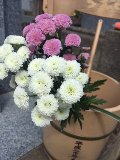 願解き