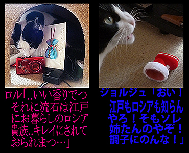 f:id:nadja5:20190109132256j:plain