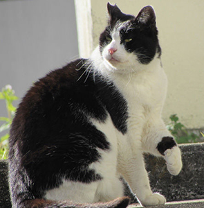 f:id:nadja5:20220118161751j:image:w300:right