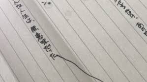f:id:naebo:20180718230906j:plain f:id:naebo:20180718230906j:plain