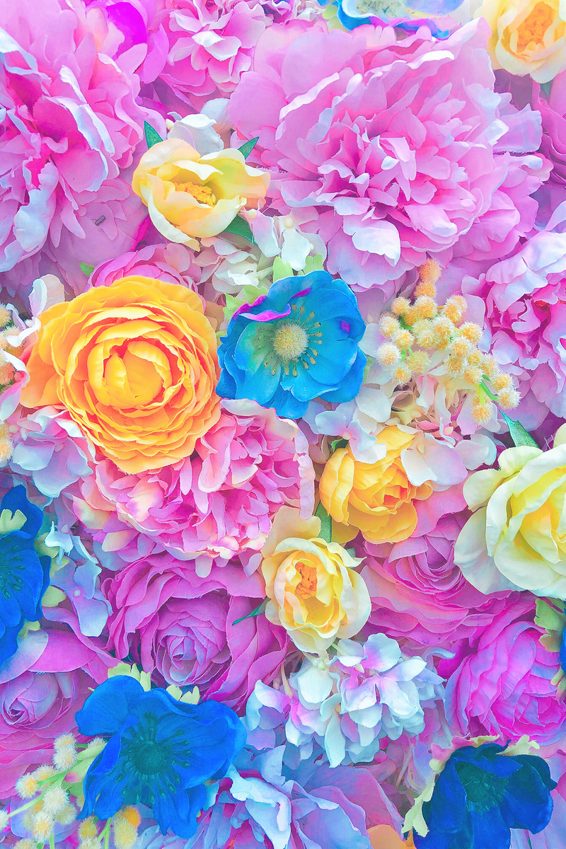 f:id:naena222:20200831223703j:plain f:id:naena222:20200831223703j:plain