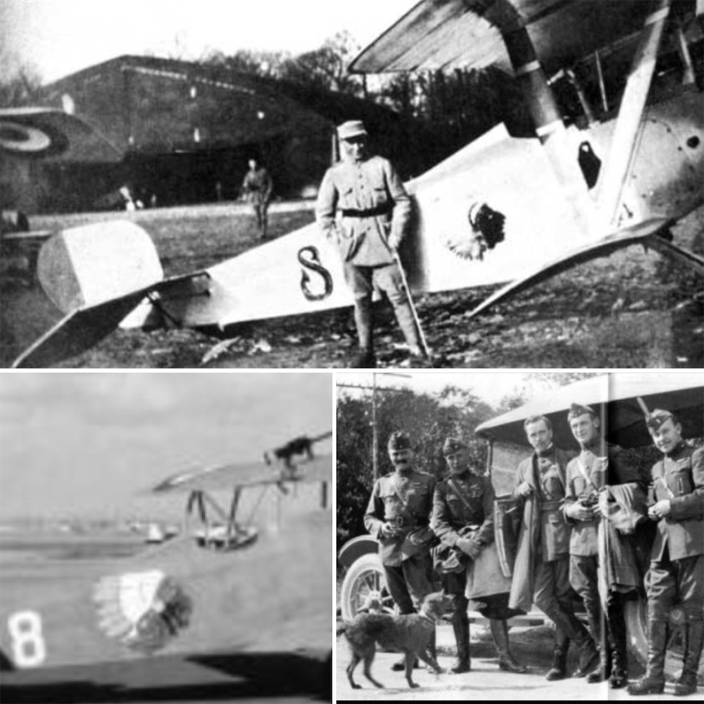 f:id:naga3030:20180617132801j:image