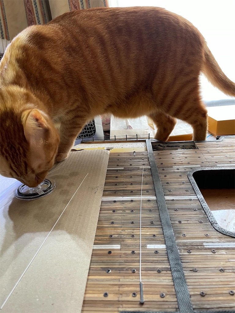 f:id:naga3030:20210220163405j:image