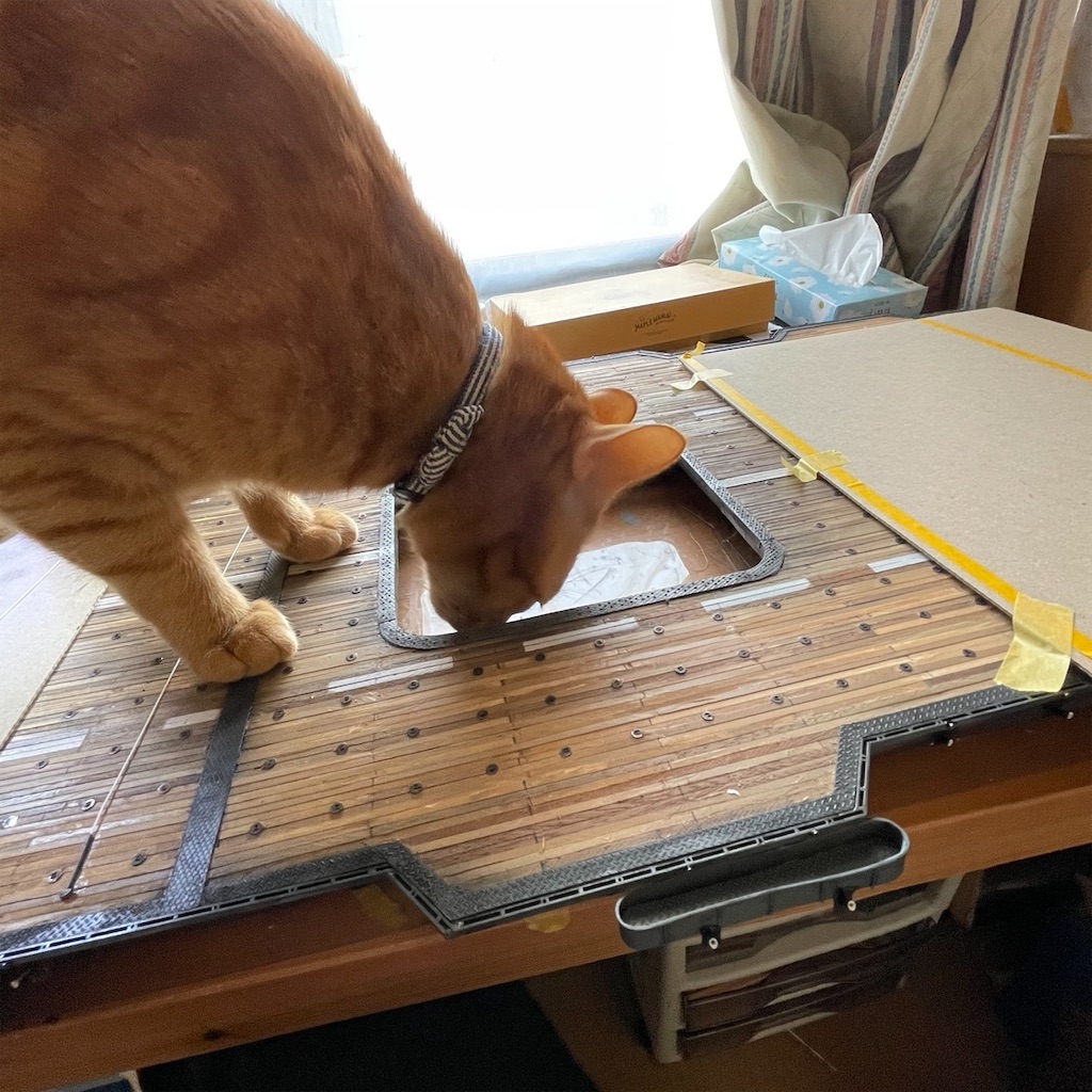 f:id:naga3030:20210220164136j:image