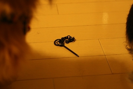 f:id:naga99:20080121202723j:image f:id:naga99:20080121202723j:image