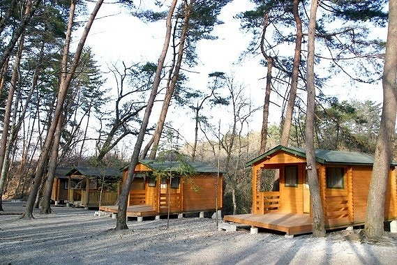 ビックランド コテージ ビックランド コテージ