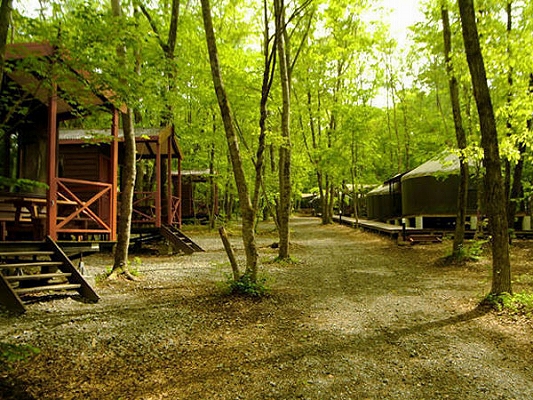 PICA富士吉田 コテージ PICA富士吉田 コテージ