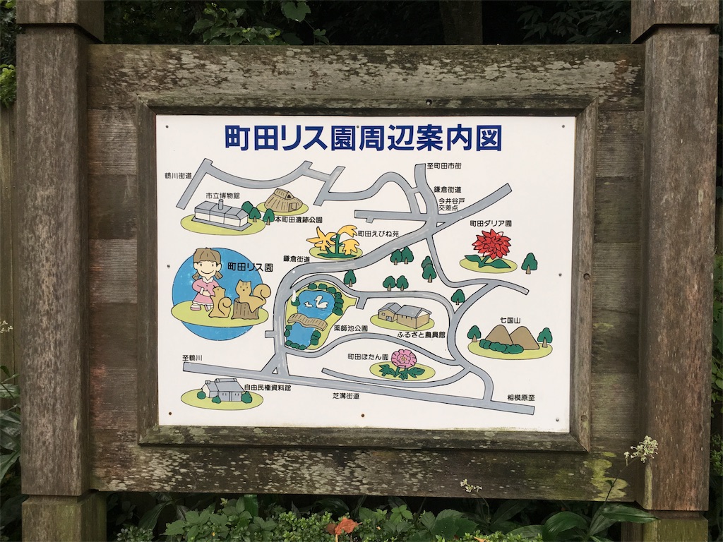 町田リス園　周辺案内