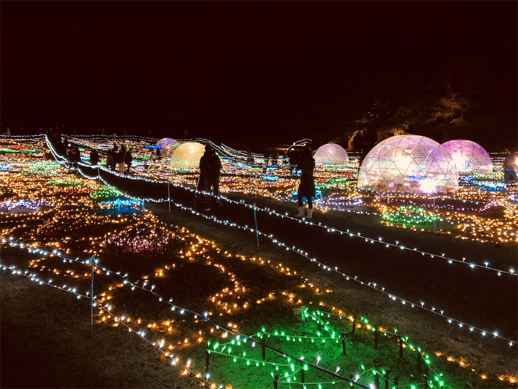 昭和記念公園 イルミネーション