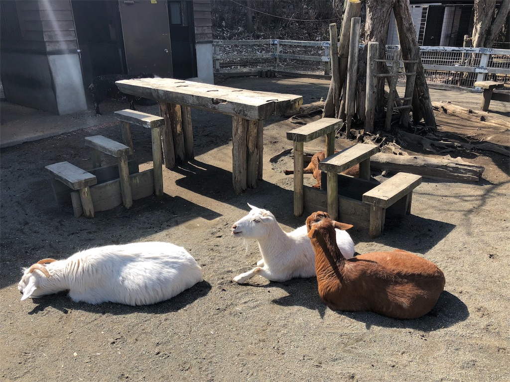 小田原こどもの森公園わんぱくらんど　ふれあい広場