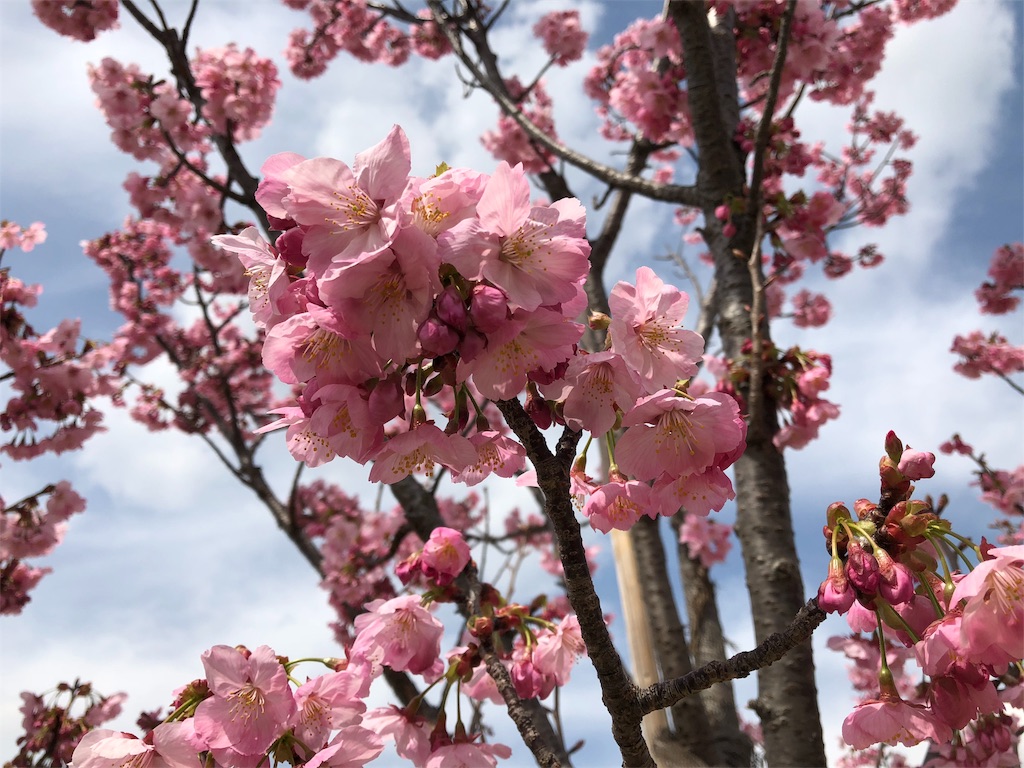 東伏見公園