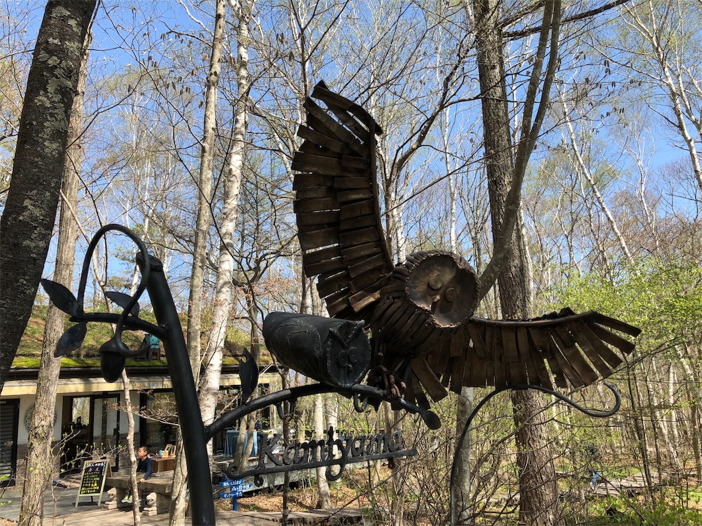 八ヶ岳倶楽部　雑木林