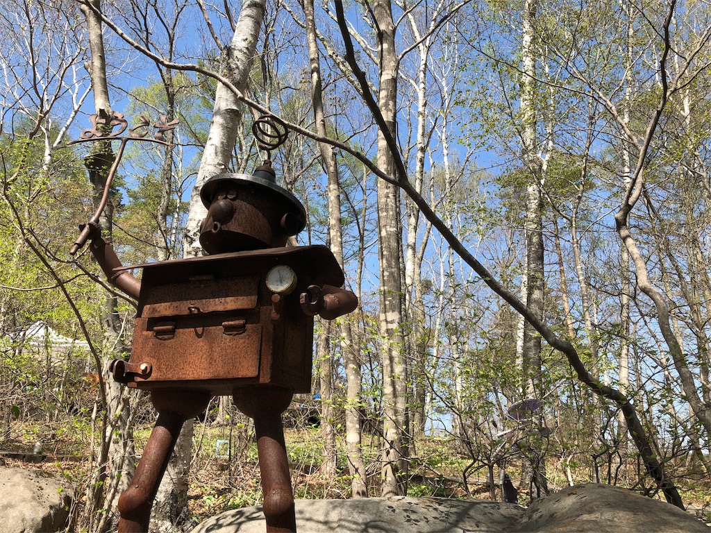 八ヶ岳倶楽部　雑木林