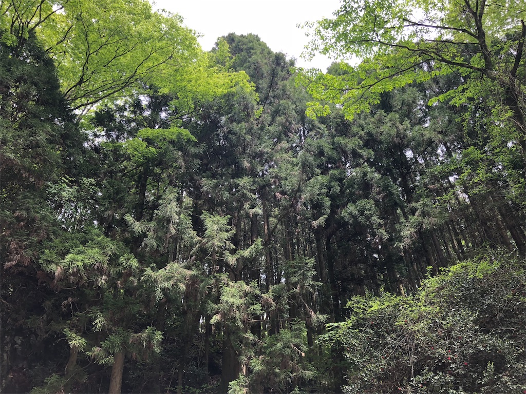 陣馬の滝