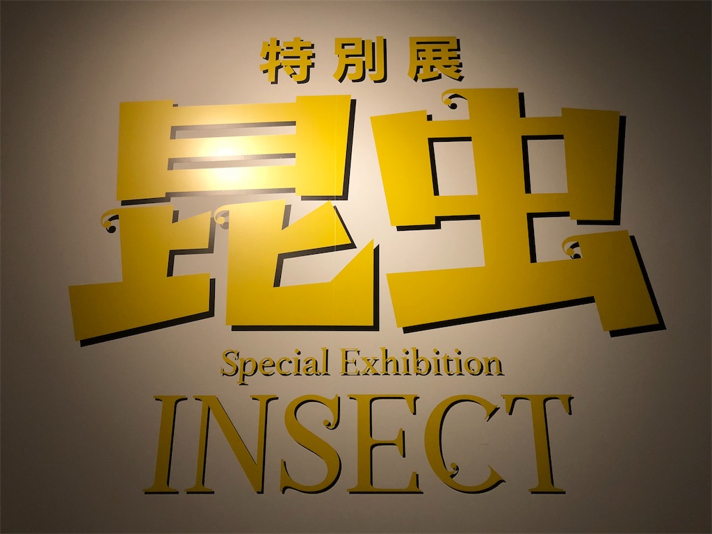 国立科学博物館 特別展 昆虫