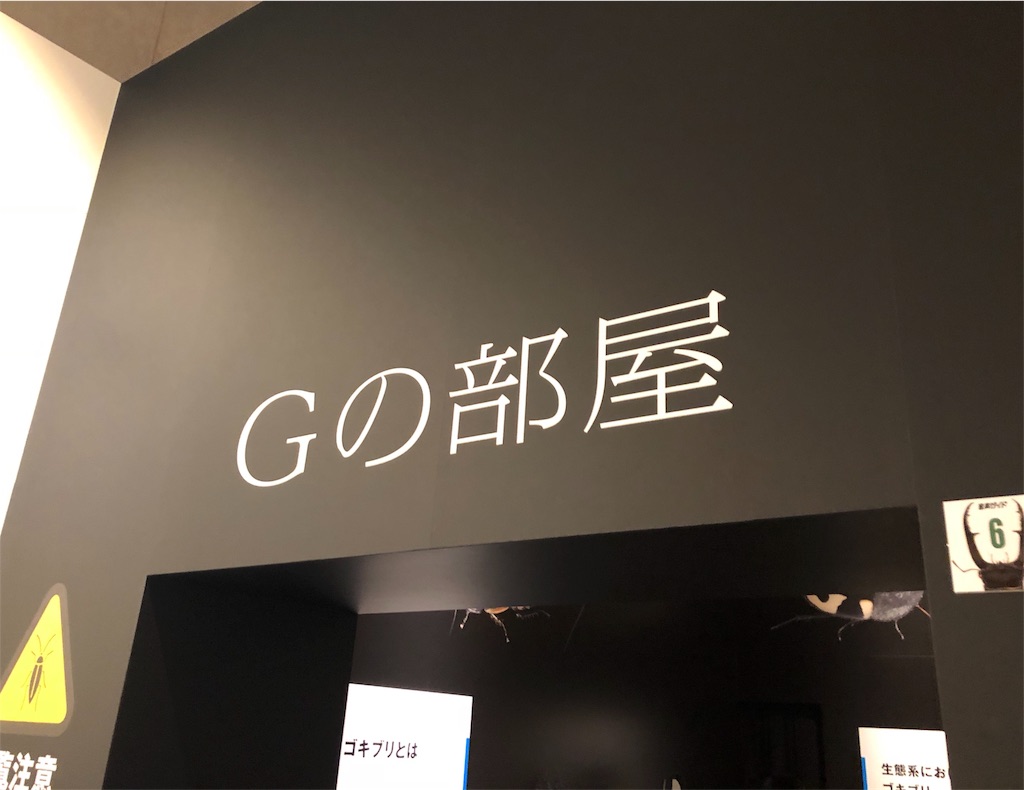 特別展 昆虫 Gの部屋