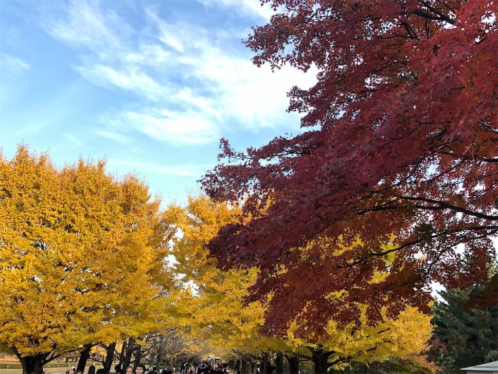 昭和記念公園　紅葉