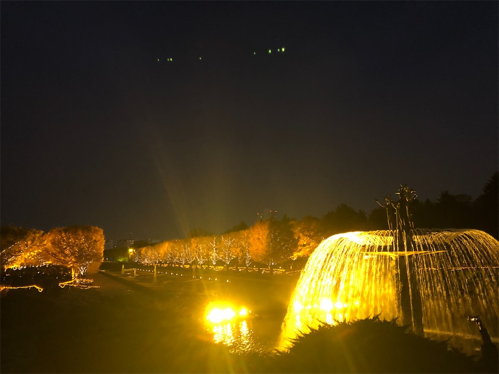 昭和記念公園　紅葉　ライトアップ