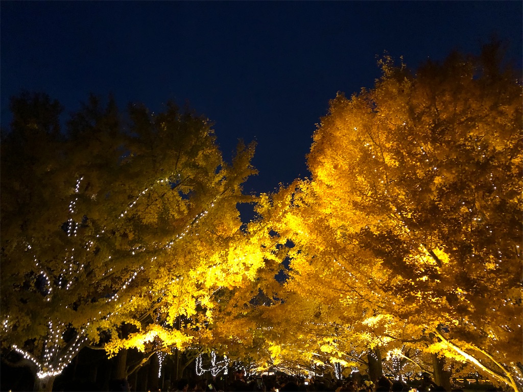 昭和記念公園　紅葉　ライトアップ