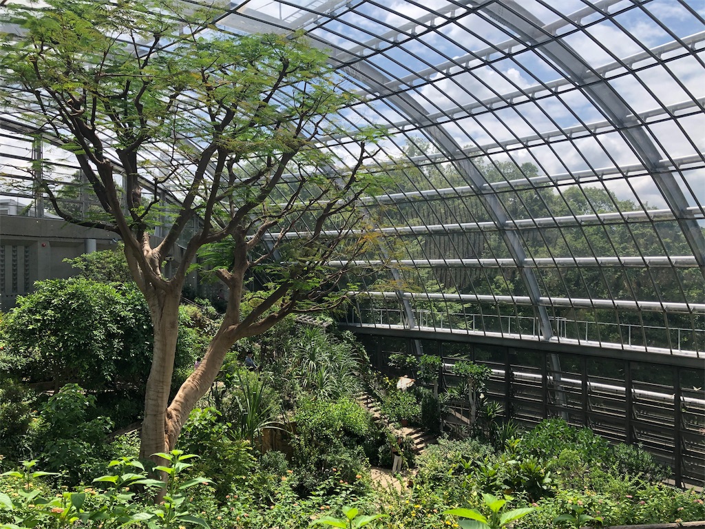 多摩動物公園　昆虫生態園