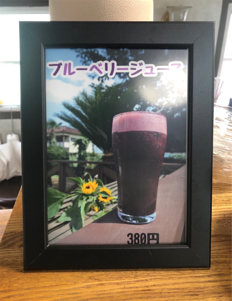 ベンズファーム　ブルーベリージュース