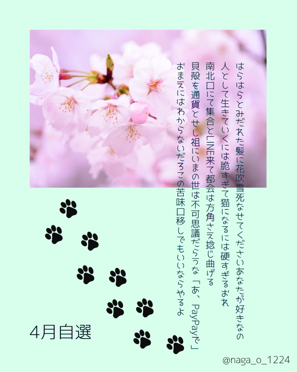 f:id:naga_o_1224:20260503201503j:image f:id:naga_o_1224:20260503201503j:image