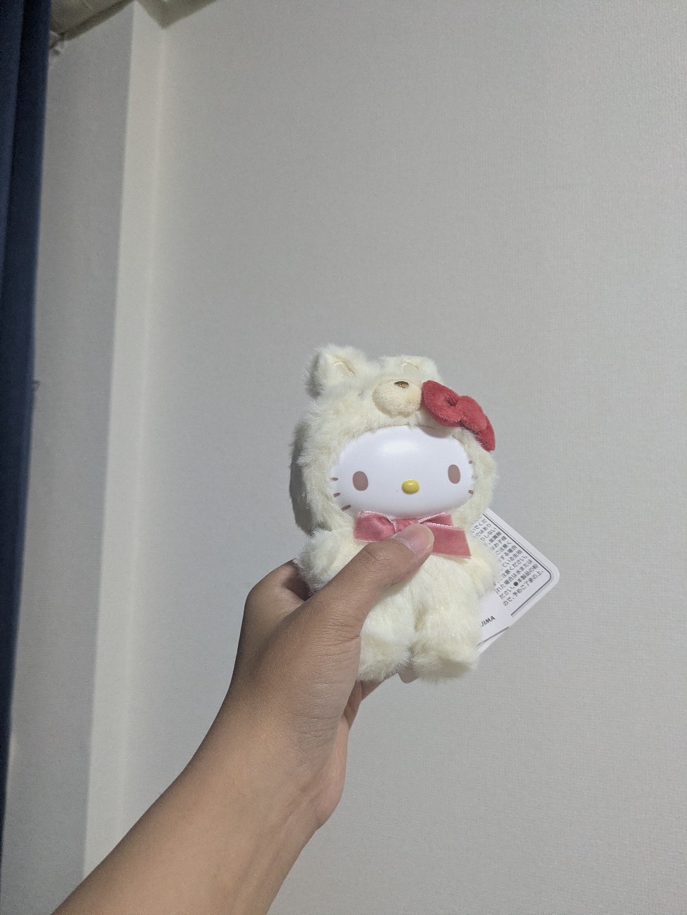 f:id:naga_o_1224:20260610184432j:image f:id:naga_o_1224:20260610184432j:image