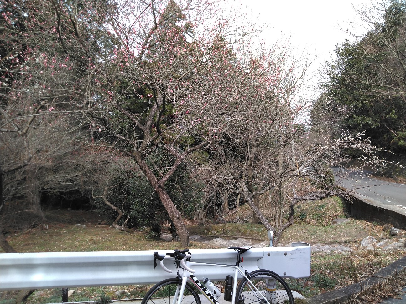 も ー も ー らんど 自転車