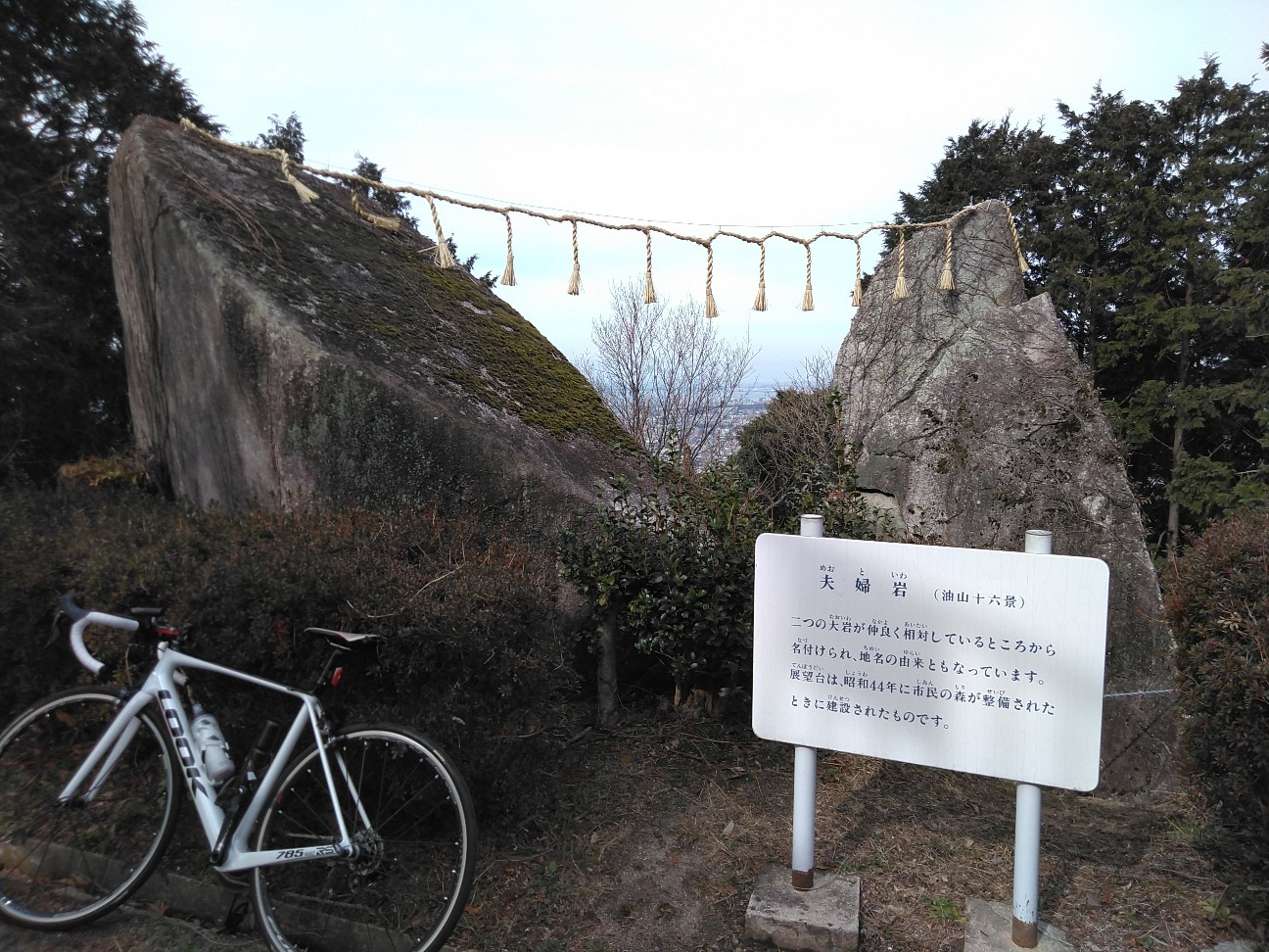 も ー も ー らんど 自転車