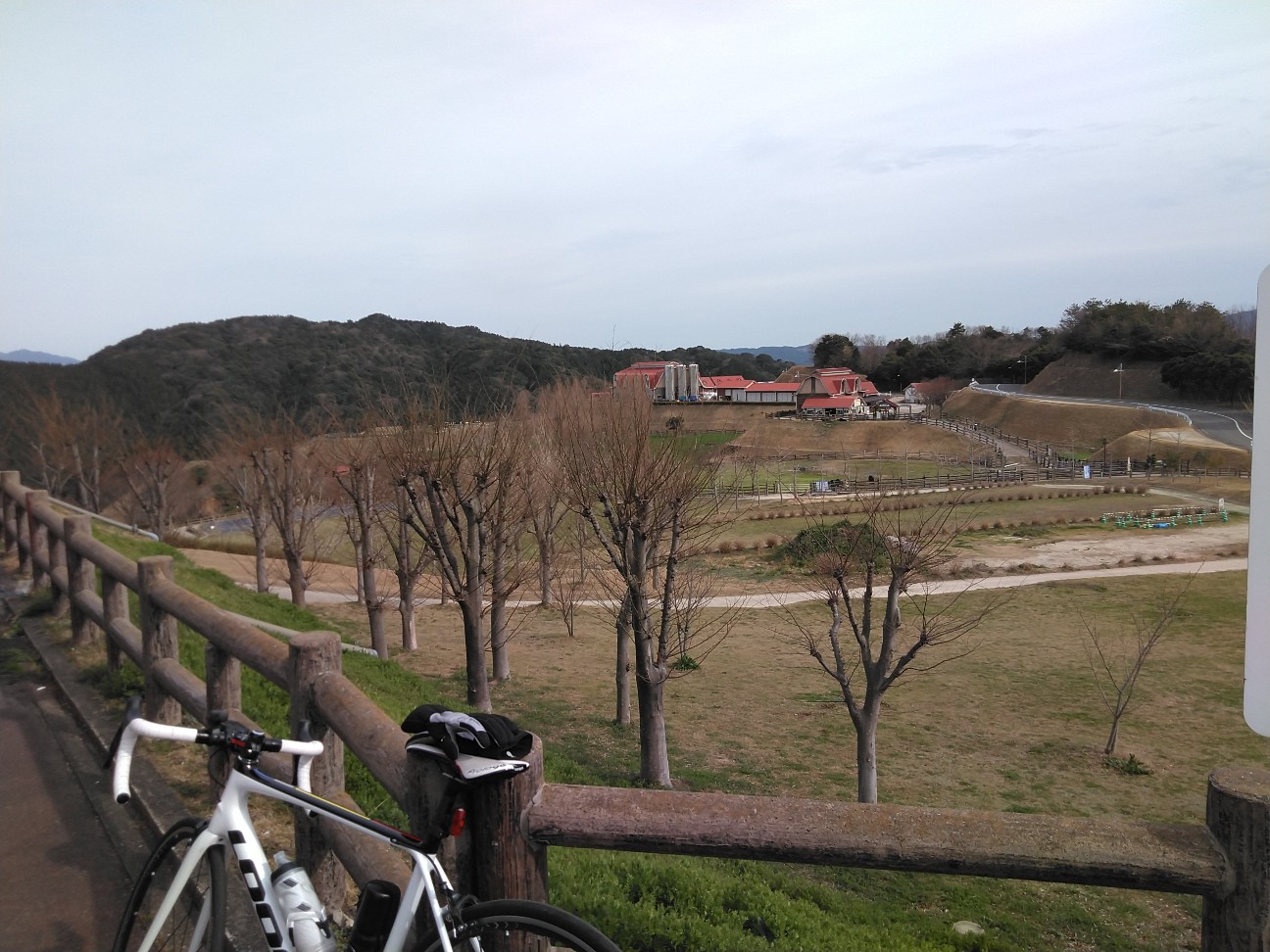 もーもーらんど 自転車