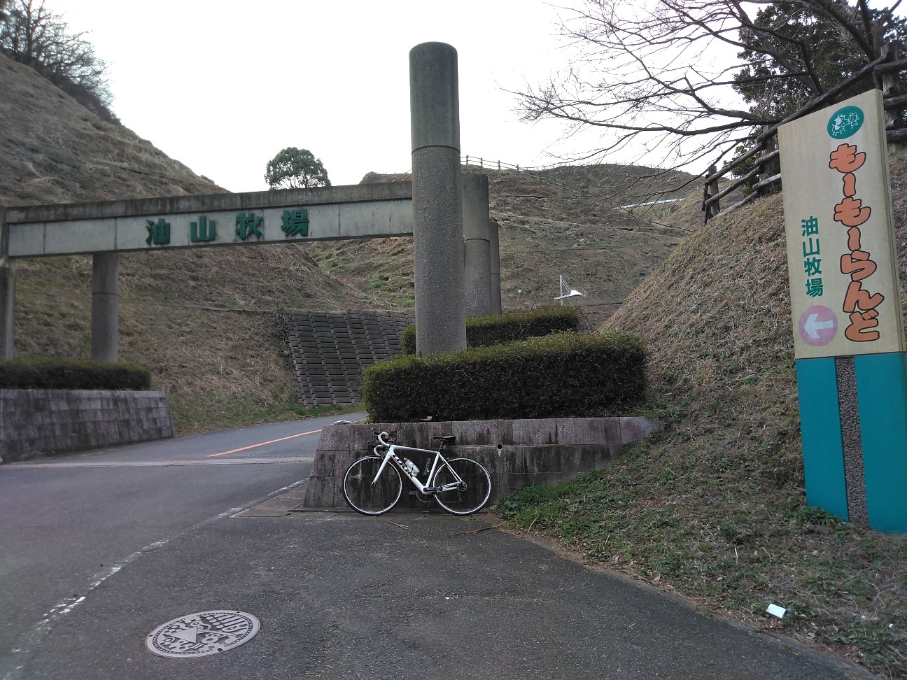 もーもーらんど 自転車