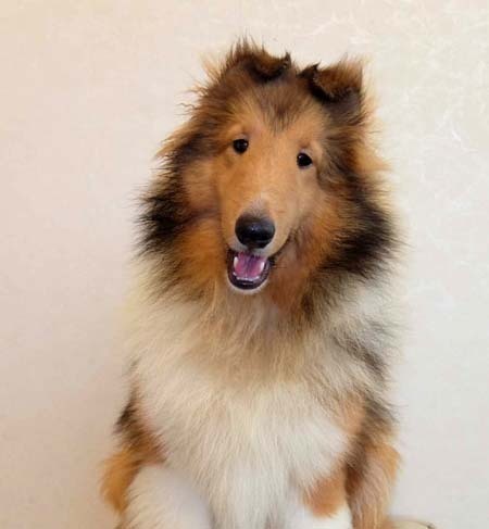 f:id:nagae_yoshimitu:20181018142502j:plain