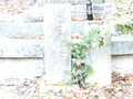 20190119130807