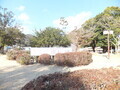 20190119150553
