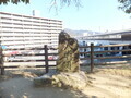 20190119150732