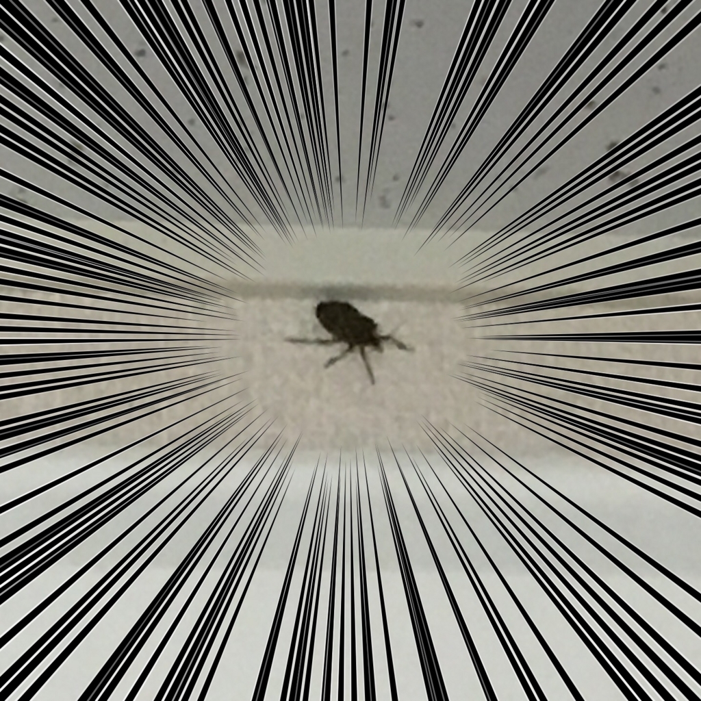 f:id:nagaihksk:20161008095258j:plain f:id:nagaihksk:20161008095258j:plain