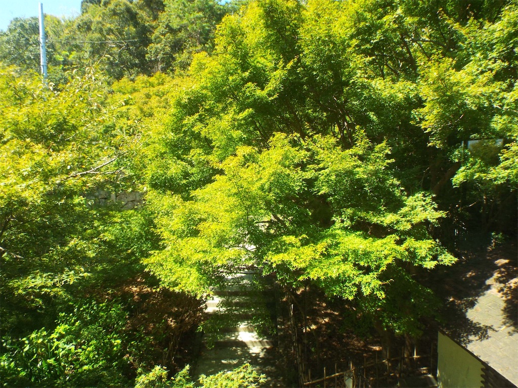 f:id:nagajun0301:20190919145739j:image f:id:nagajun0301:20190919145739j:image