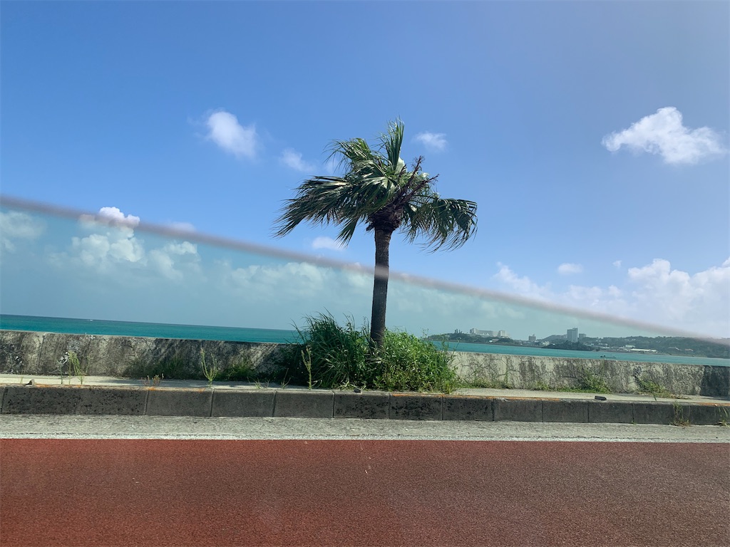 f:id:nagajun0301:20200810110729j:image f:id:nagajun0301:20200810110729j:image