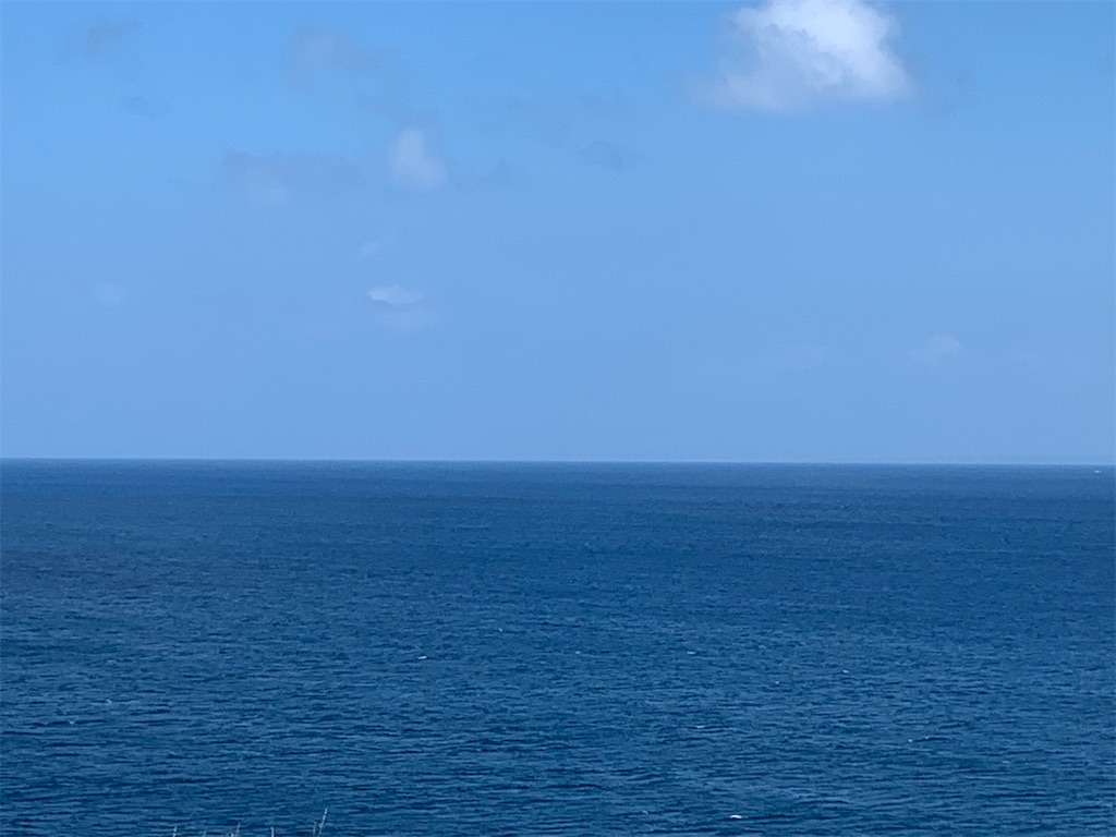 f:id:nagajun0301:20200810110910j:image f:id:nagajun0301:20200810110910j:image