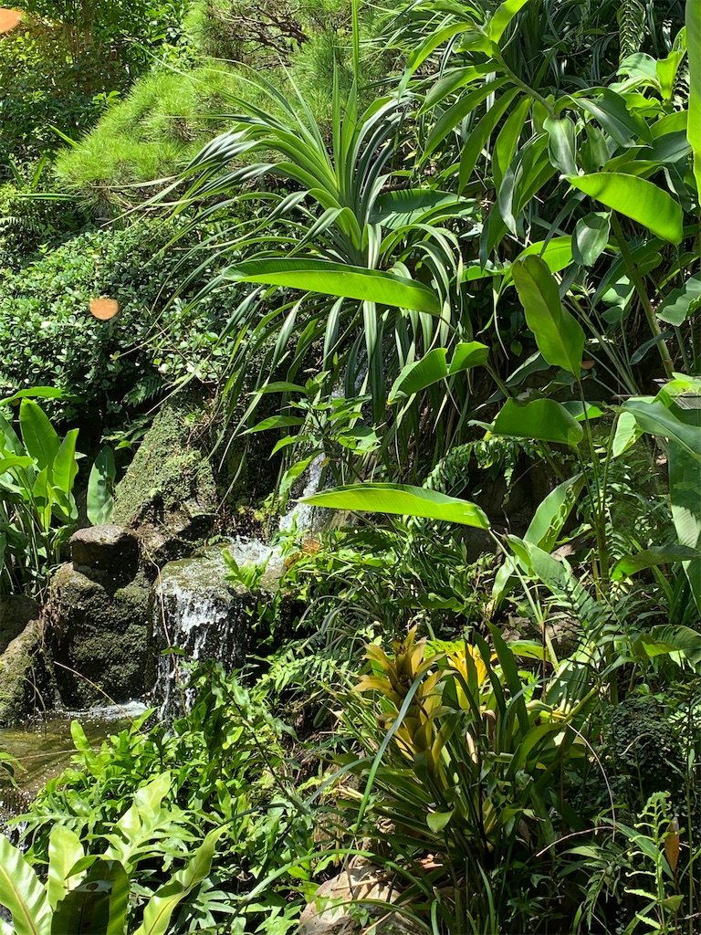 f:id:nagajun0301:20200810113146j:image f:id:nagajun0301:20200810113146j:image