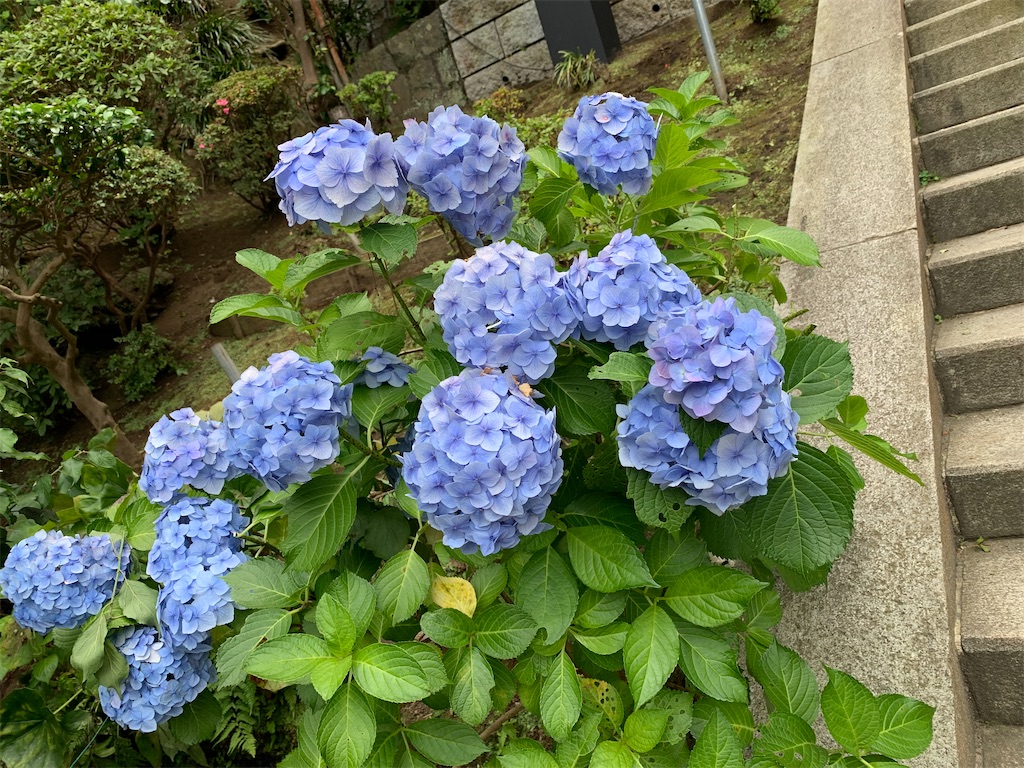 f:id:nagajun0301:20230623110016j:image f:id:nagajun0301:20230623110016j:image