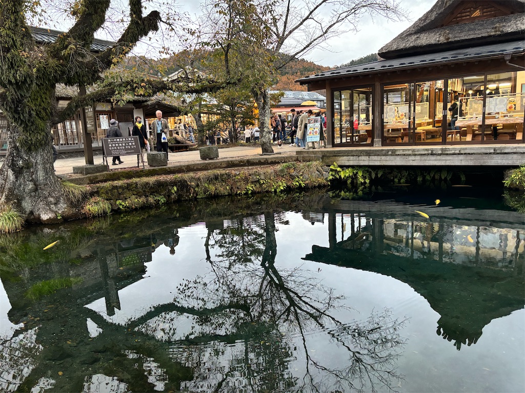 f:id:nagajun0301:20231113155736j:image f:id:nagajun0301:20231113155736j:image