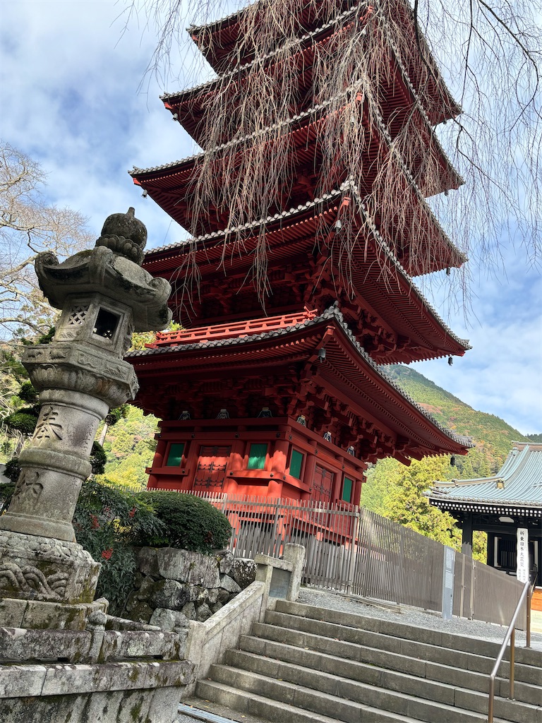 f:id:nagajun0301:20231117154248j:image f:id:nagajun0301:20231117154248j:image