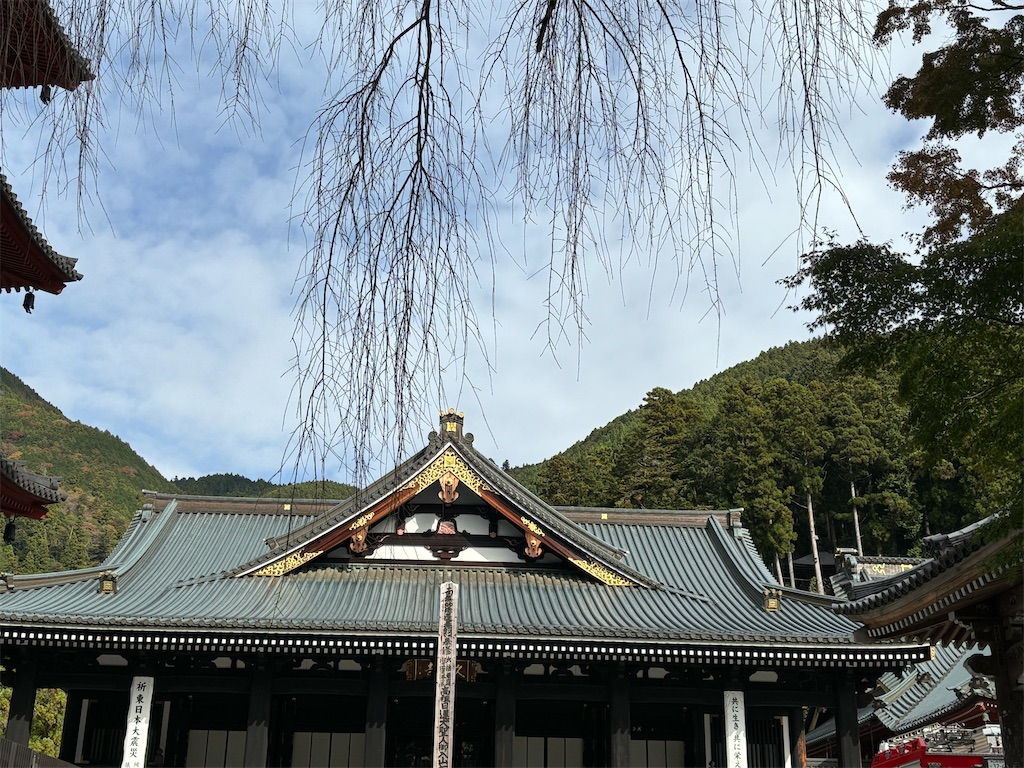 f:id:nagajun0301:20231117154252j:image f:id:nagajun0301:20231117154252j:image
