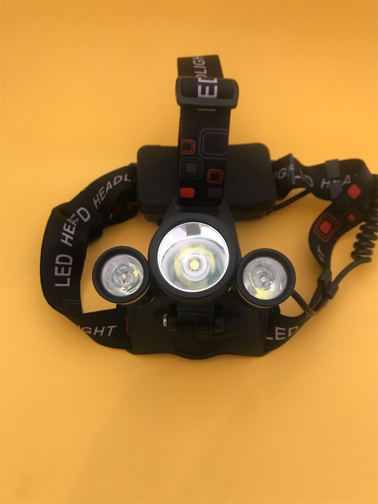f:id:nagakawara:20190206203931j:image f:id:nagakawara:20190206203931j:image