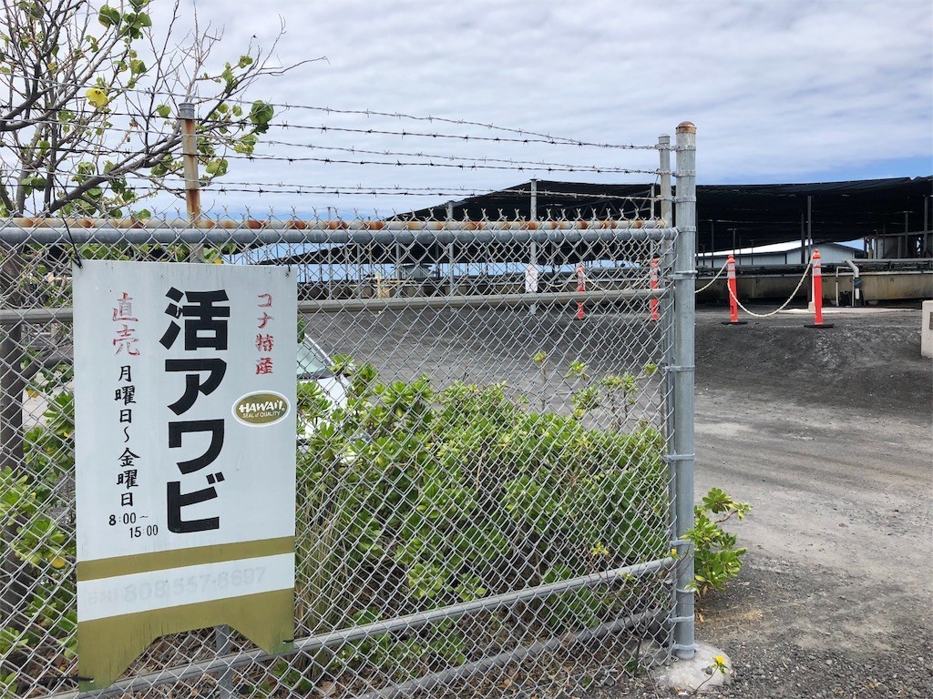 f:id:nagakura_eil:20190624122011j:image f:id:nagakura_eil:20190624122011j:image