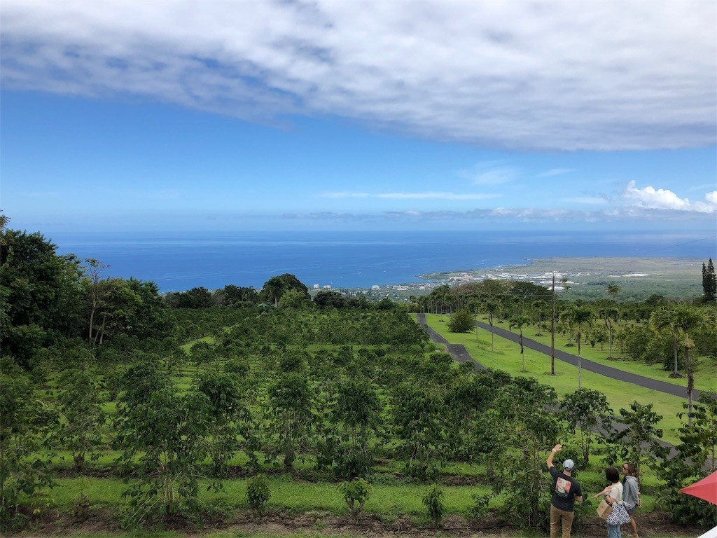 f:id:nagakura_eil:20190624122046j:image f:id:nagakura_eil:20190624122046j:image