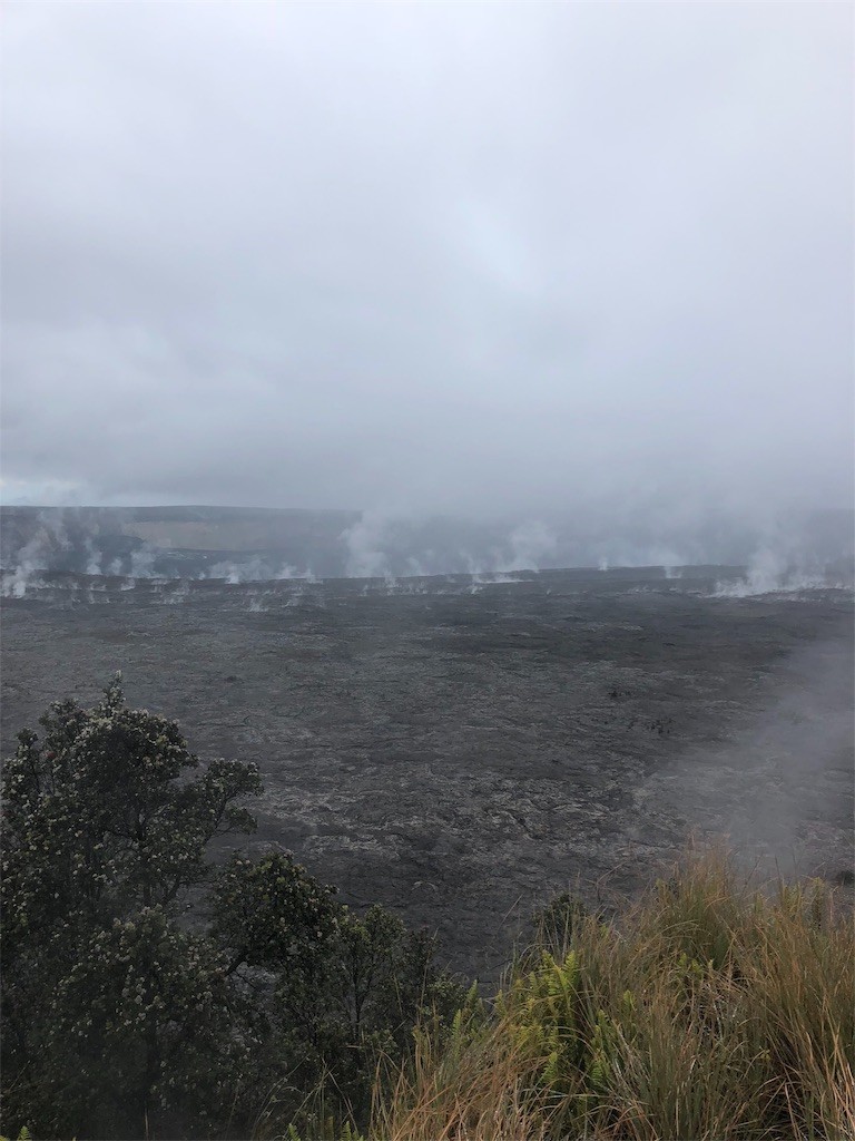 f:id:nagakura_eil:20190624150208j:image f:id:nagakura_eil:20190624150208j:image