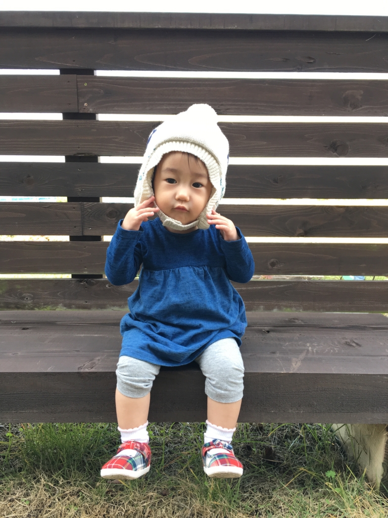 f:id:nagameikuji:20161207140058j:plain